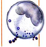 http://oloommagazine.com/images/Articles/15/SCI99b15N2-3_H01_008583.jpg
