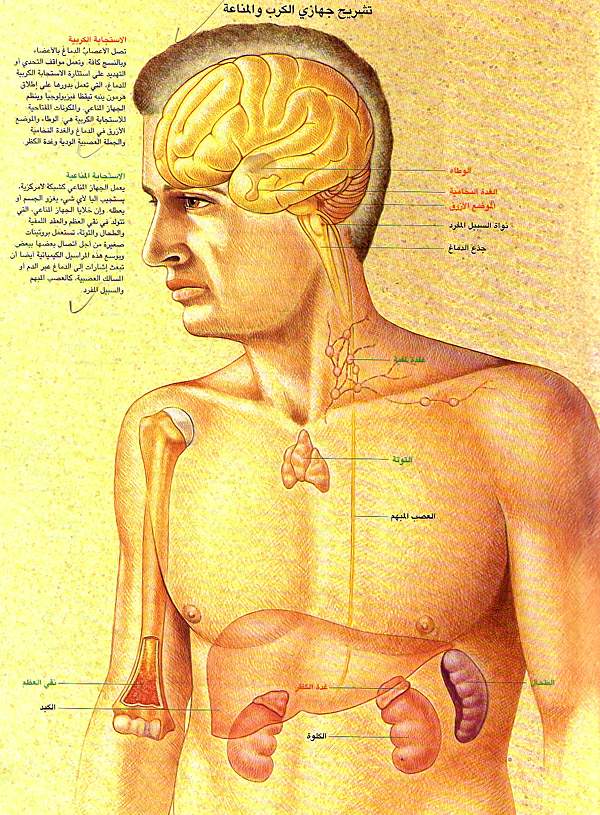 http://oloommagazine.com/images/Articles/15/SCI99b15N2-3_H01_008584.jpg