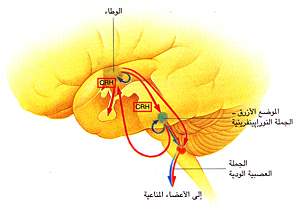 http://oloommagazine.com/images/Articles/15/SCI99b15N2-3_H01_008588.jpg