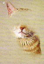 http://oloommagazine.com/images/Articles/15/SCI99b15N2-3_H02_008591.jpg