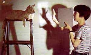 http://oloommagazine.com/images/Articles/15/SCI99b15N2-3_H02_008596.jpg