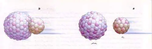 http://oloommagazine.com/images/Articles/15/SCI99b15N5_H03_008823.jpg