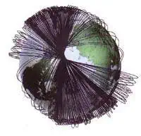 http://oloommagazine.com/images/Articles/15/SCI99b15N1_H05_008509.jpg
