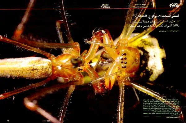 http://oloommagazine.com/images/Articles/15/SCI99b15N1_H02_008482.jpg