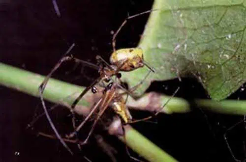 http://oloommagazine.com/images/Articles/15/SCI99b15N1_H02_008483.jpg