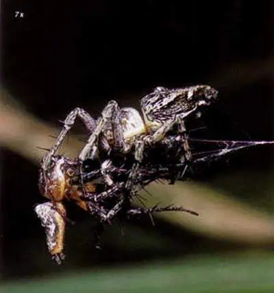 http://oloommagazine.com/images/Articles/15/SCI99b15N1_H02_008484.jpg