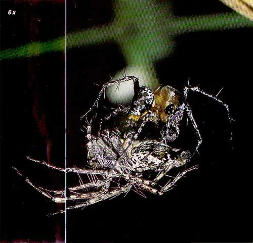 http://oloommagazine.com/images/Articles/15/SCI99b15N1_H02_008485.jpg