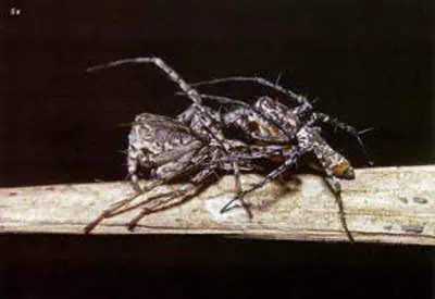 http://oloommagazine.com/images/Articles/15/SCI99b15N1_H02_008486.jpg