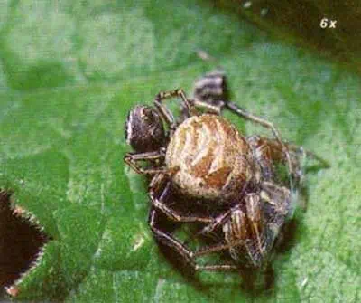 http://oloommagazine.com/images/Articles/15/SCI99b15N1_H02_008489.jpg