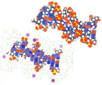 http://oloommagazine.com/images/Articles/15/SCI99b15N1_H03_008496.jpg