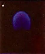 http://oloommagazine.com/images/Articles/15/SCI99b15N1_H01_008466.jpg