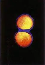 http://oloommagazine.com/images/Articles/15/SCI99b15N10_H03_008165.jpg