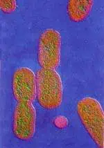 http://oloommagazine.com/images/Articles/15/SCI99b15N10_H03_008170.jpg
