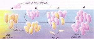 http://oloommagazine.com/images/Articles/15/SCI99b15N10_H03_008176.jpg
