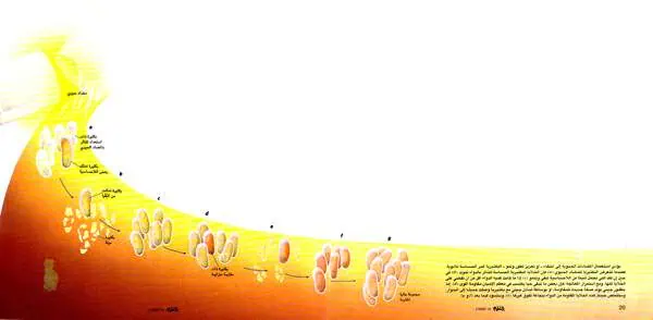 http://oloommagazine.com/images/Articles/15/SCI99b15N10_H03_008177.jpg