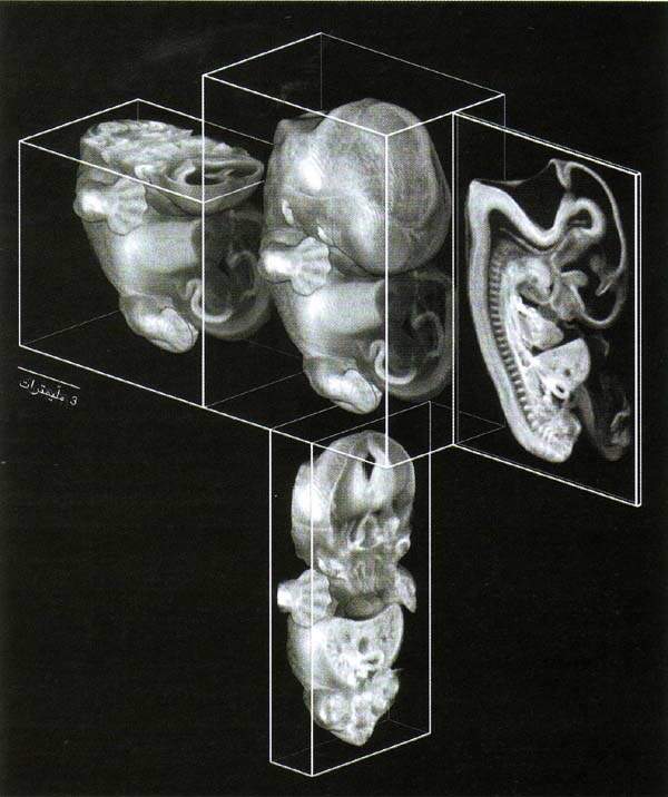 http://oloommagazine.com/images/Articles/15/SCI99b15N8-9_H03_009066.jpg