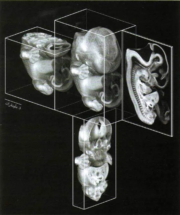 http://oloommagazine.com/images/Articles/15/SCI99b15N8-9_H03_009066.jpg