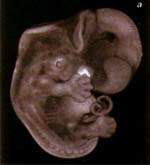 http://oloommagazine.com/images/Articles/15/SCI99b15N8-9_H03_009069.jpg