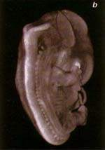 http://oloommagazine.com/images/Articles/15/SCI99b15N8-9_H03_009070.jpg