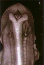 http://oloommagazine.com/images/Articles/15/SCI99b15N8-9_H03_009071.jpg
