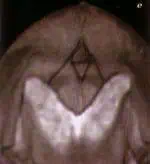 http://oloommagazine.com/images/Articles/15/SCI99b15N8-9_H03_009073.jpg