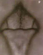 http://oloommagazine.com/images/Articles/15/SCI99b15N8-9_H03_009075.jpg