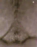 http://oloommagazine.com/images/Articles/15/SCI99b15N8-9_H03_009078.jpg