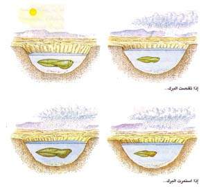 http://oloommagazine.com/images/Articles/15/SCI99b15N8-9_H02_009061.jpg