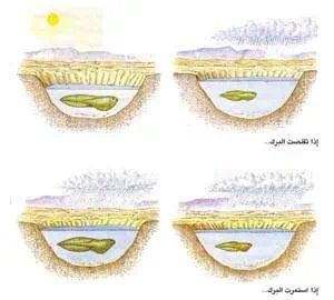 http://oloommagazine.com/images/Articles/15/SCI99b15N8-9_H02_009061.jpg
