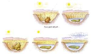 http://oloommagazine.com/images/Articles/15/SCI99b15N8-9_H02_009062.jpg