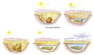 http://oloommagazine.com/images/Articles/15/SCI99b15N8-9_H02_009062.jpg