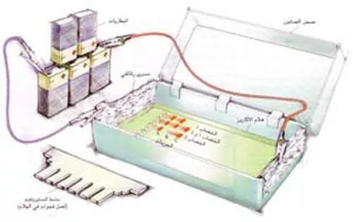http://oloommagazine.com/images/Articles/15/SCI99b15N4_H05_008743.jpg