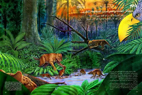 http://oloommagazine.com/images/Articles/15/SCI99b15N11_H05_008292.jpg