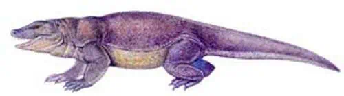 http://oloommagazine.com/images/Articles/15/SCI99b15N11_H05_008296.jpg