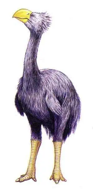 http://oloommagazine.com/images/Articles/15/SCI99b15N11_H05_008303.jpg