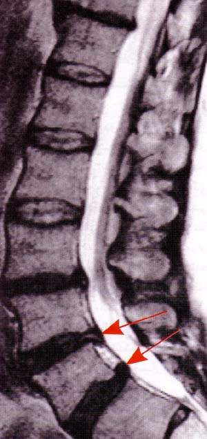 http://oloommagazine.com/images/Articles/15/SCI99b15N11_H02_008269.jpg