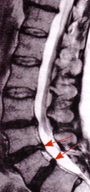 http://oloommagazine.com/images/Articles/15/SCI99b15N11_H02_008269.jpg