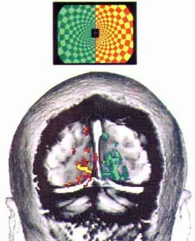 http://oloommagazine.com/images/Articles/15/SCI99b15N2-3_H03_008603.jpg