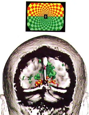 http://oloommagazine.com/images/Articles/15/SCI99b15N2-3_H03_008604.jpg