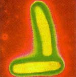 http://oloommagazine.com/images/Articles/15/SCI_index_99b15N10_H03_008167.jpg