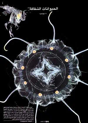 http://oloommagazine.com/images/Articles/16/SCI2000b16N10_H04_00798.jpg