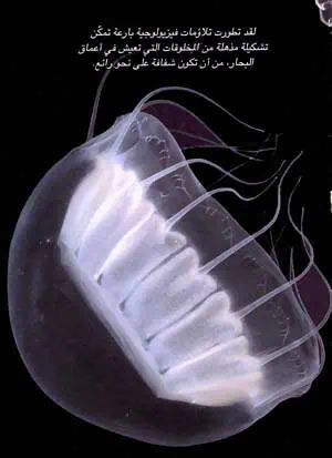 http://oloommagazine.com/images/Articles/16/SCI2000b16N10_H04_00799.jpg