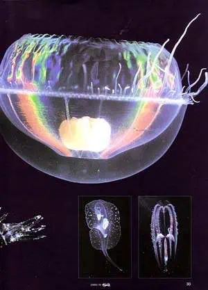 http://oloommagazine.com/images/Articles/16/SCI2000b16N10_H04_00800.jpg