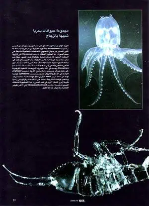 http://oloommagazine.com/images/Articles/16/SCI2000b16N10_H04_00801.jpg