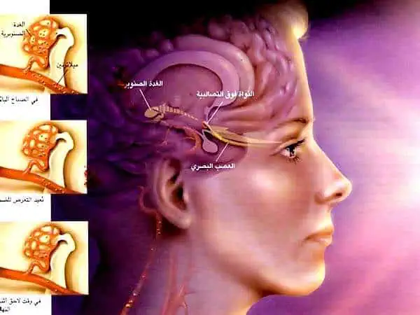 http://oloommagazine.com/images/Articles/16/SCI2000b16N9_H01_001329.jpg