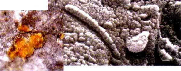 http://oloommagazine.com/images/Articles/16/SCI2000b16N7_8_H02_001226.jpg