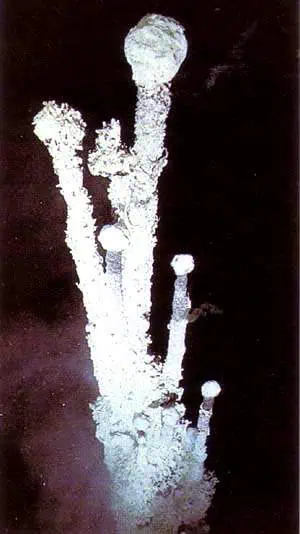 http://oloommagazine.com/images/Articles/16/SCI2000b16N7_8_H02_001230.jpg