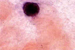 http://oloommagazine.com/images/Articles/16/SCI2000b16N5-6_H05_001152.jpg