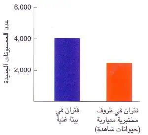 http://oloommagazine.com/images/Articles/16/SCI2000b16N5-6_H05_001157.jpg