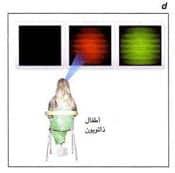 http://oloommagazine.com/images/Articles/16/SCI2000b16N5-6_H02_001139.jpg